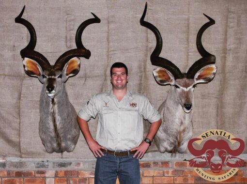 senatla-hunting-safaris-taxidermy